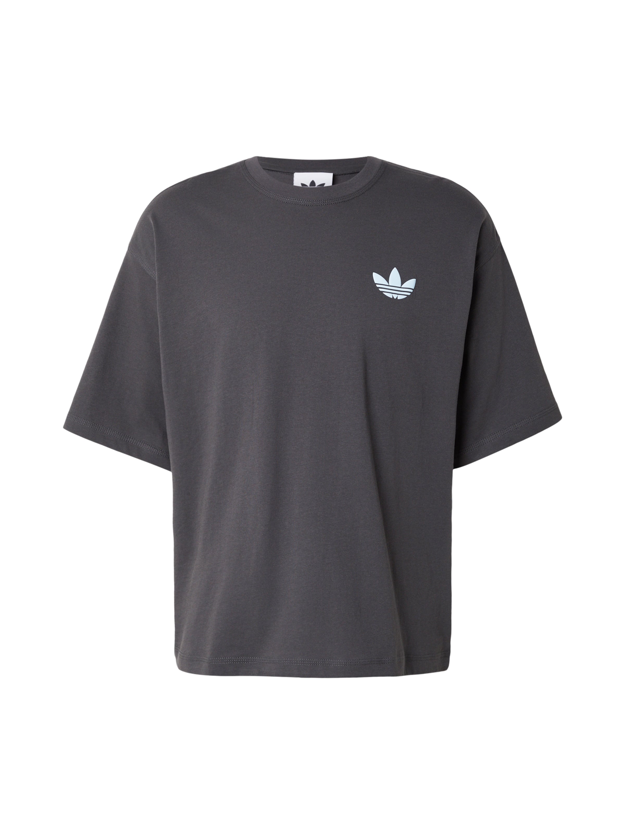 ADIDAS ORIGINALS Тениска 'Mountain' в черно: отпред