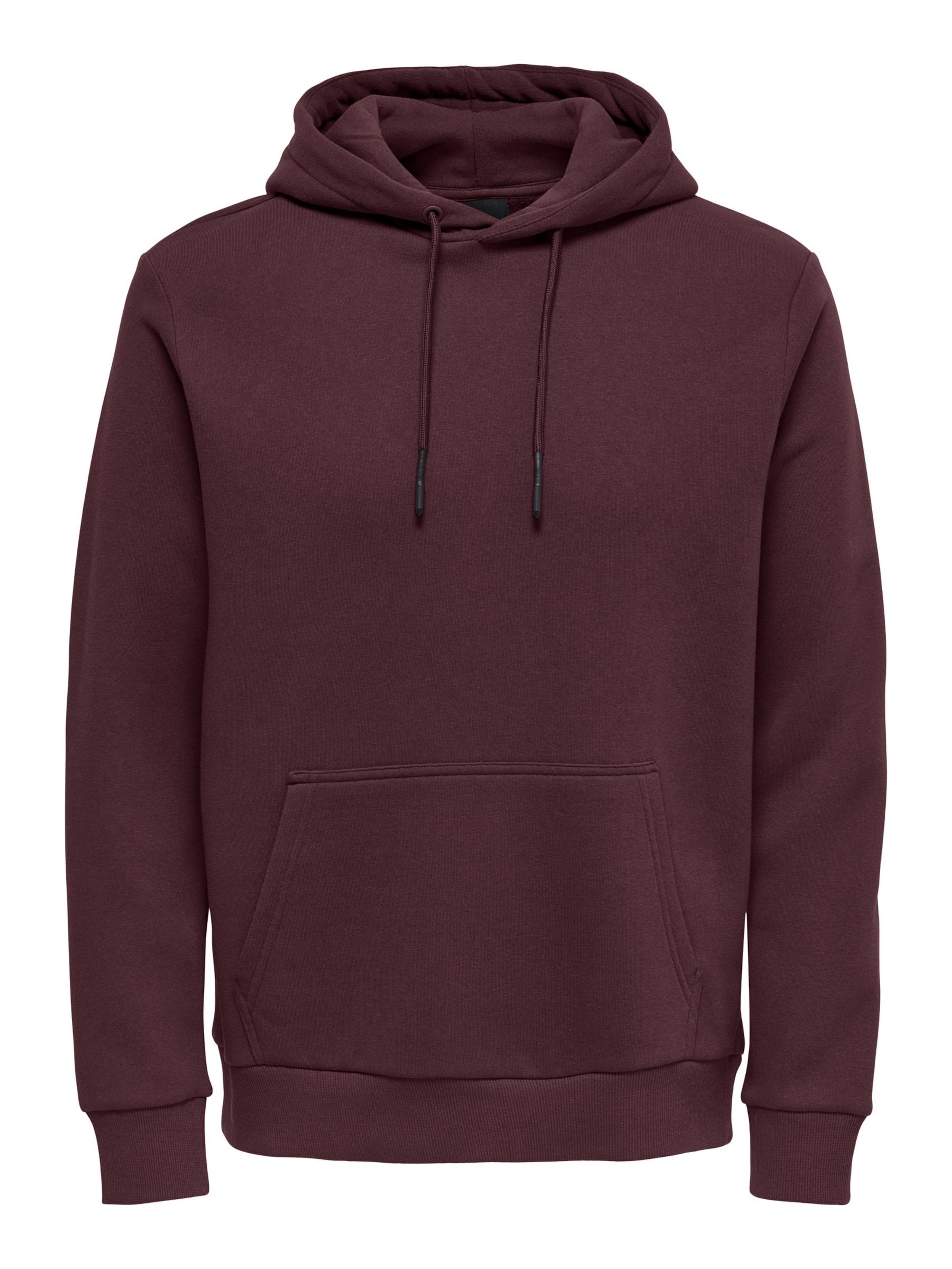 Only & Sons Sweatshirt 'ONSCeres' in Purple: front