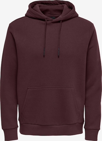 Only & Sons Sweatshirt 'ONSCeres' in Purple: front
