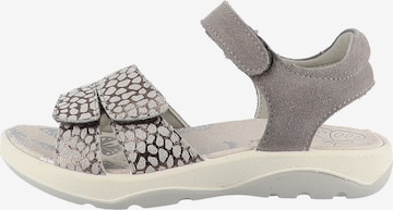 Sandales 'Fiori' LURCHI en gris : devant