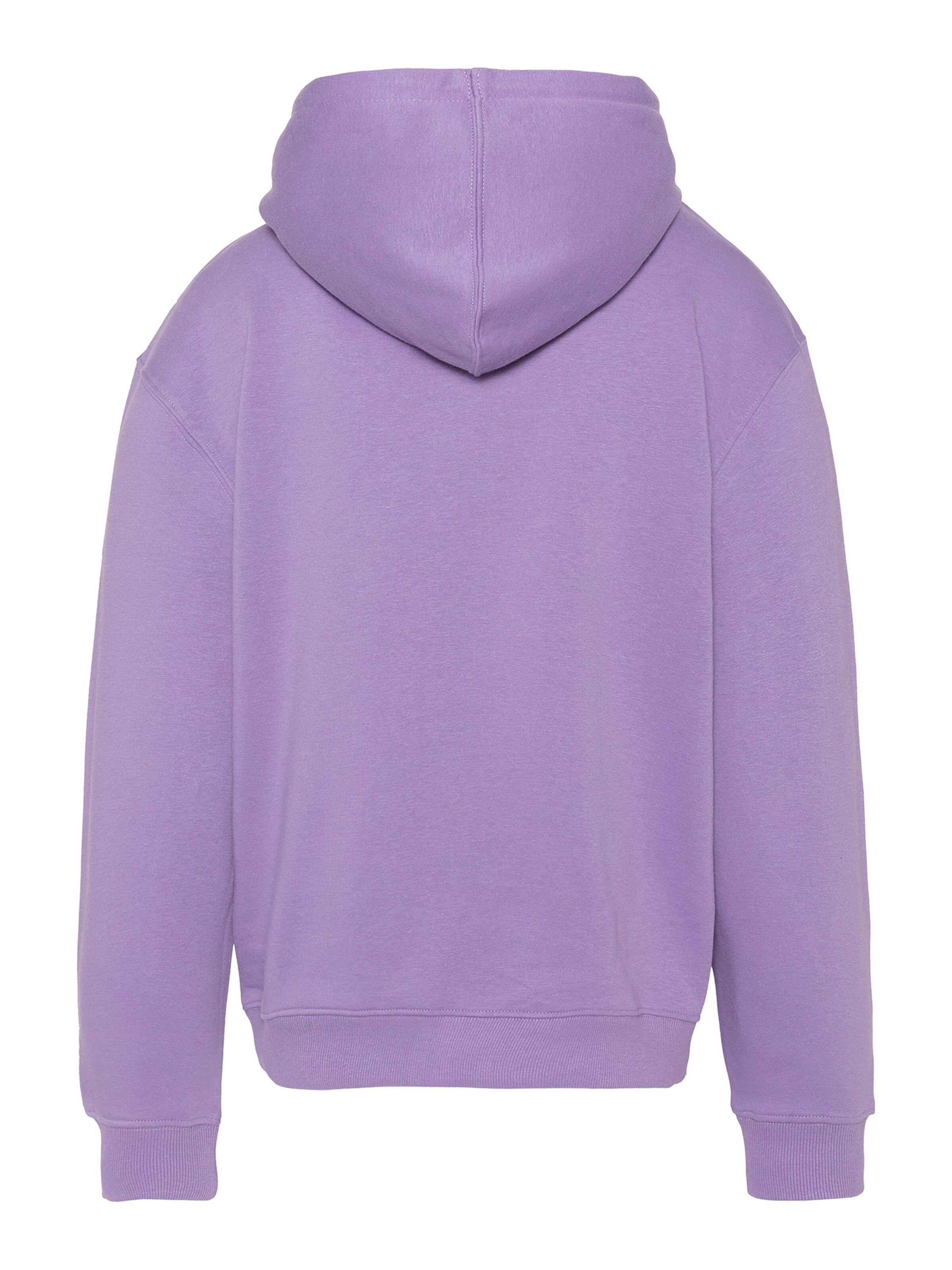 Schott NYC Sweatshirt‌‌‌‌‌‌‌‌‌ in Lila