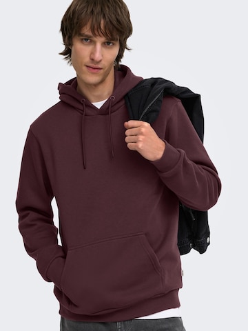 Only & Sons Regular Fit Sweatshirt 'ONSCeres' in Lila