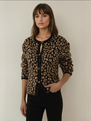 Hiccup Strickjacke in Braun: Vorderseite
