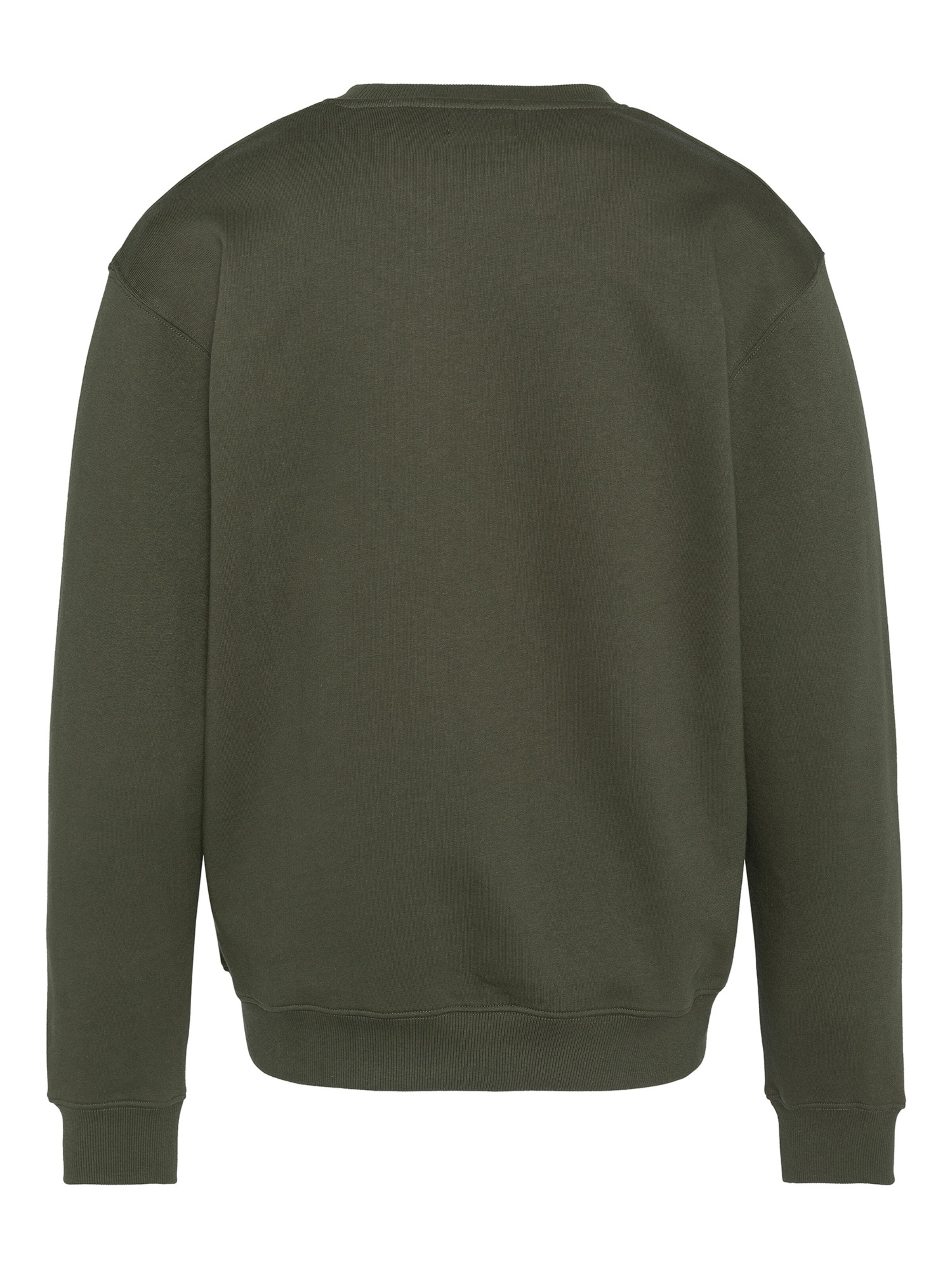 Schott NYC Sweatshirt‌‌‌‌‌‌‌‌ in Grün