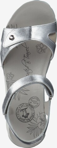 PANAMA JACK Sandals 'Sulia B' in Silver