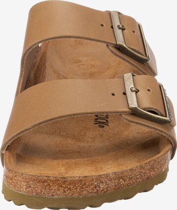 BIRKENSTOCK Pantolette 'Arizona' in Braun