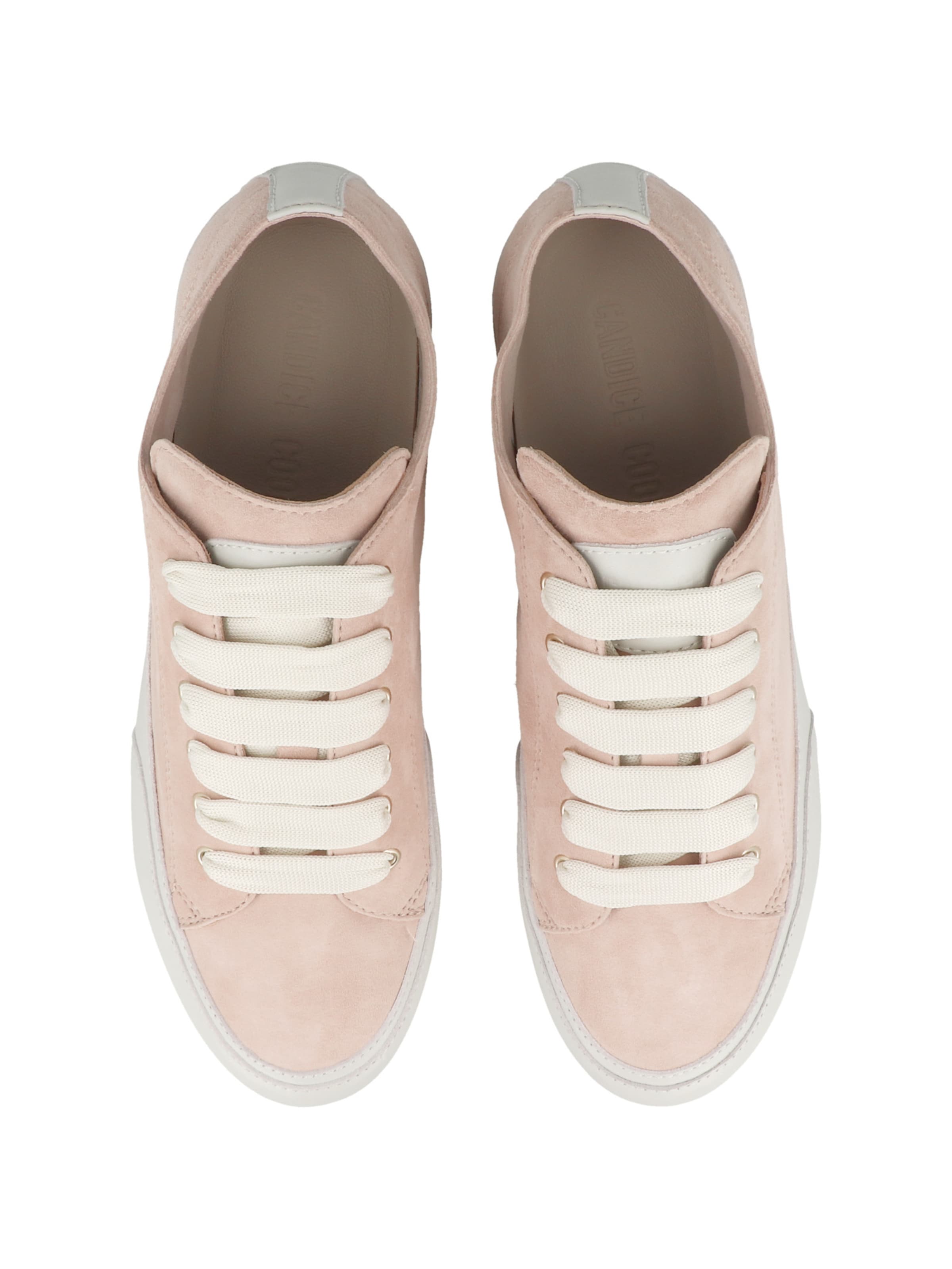 Baskets basses 'Twist S.' Candice Cooper en rose