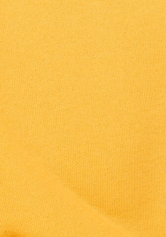 FRUIT OF THE LOOM Sweatshirt in Yellow