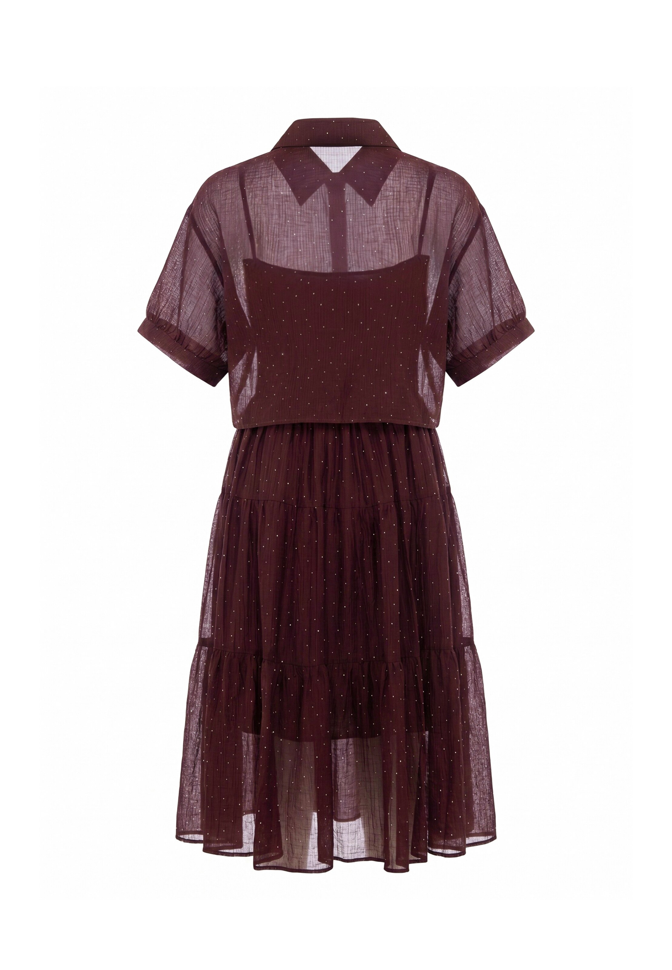 Robe usha BLACK LABEL en marron