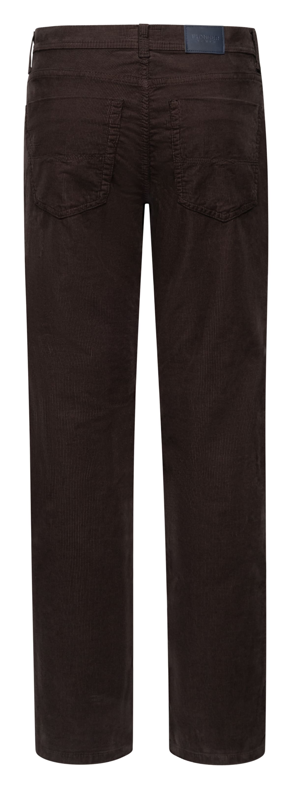 Pioneer Authentic Jeans Regular Pants in Brown