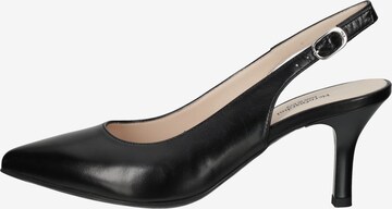 Nero Giardini Pumps in Schwarz