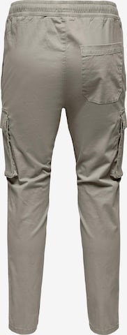 Only & Sons Regular Cargo Pants 'Linus' in Grey