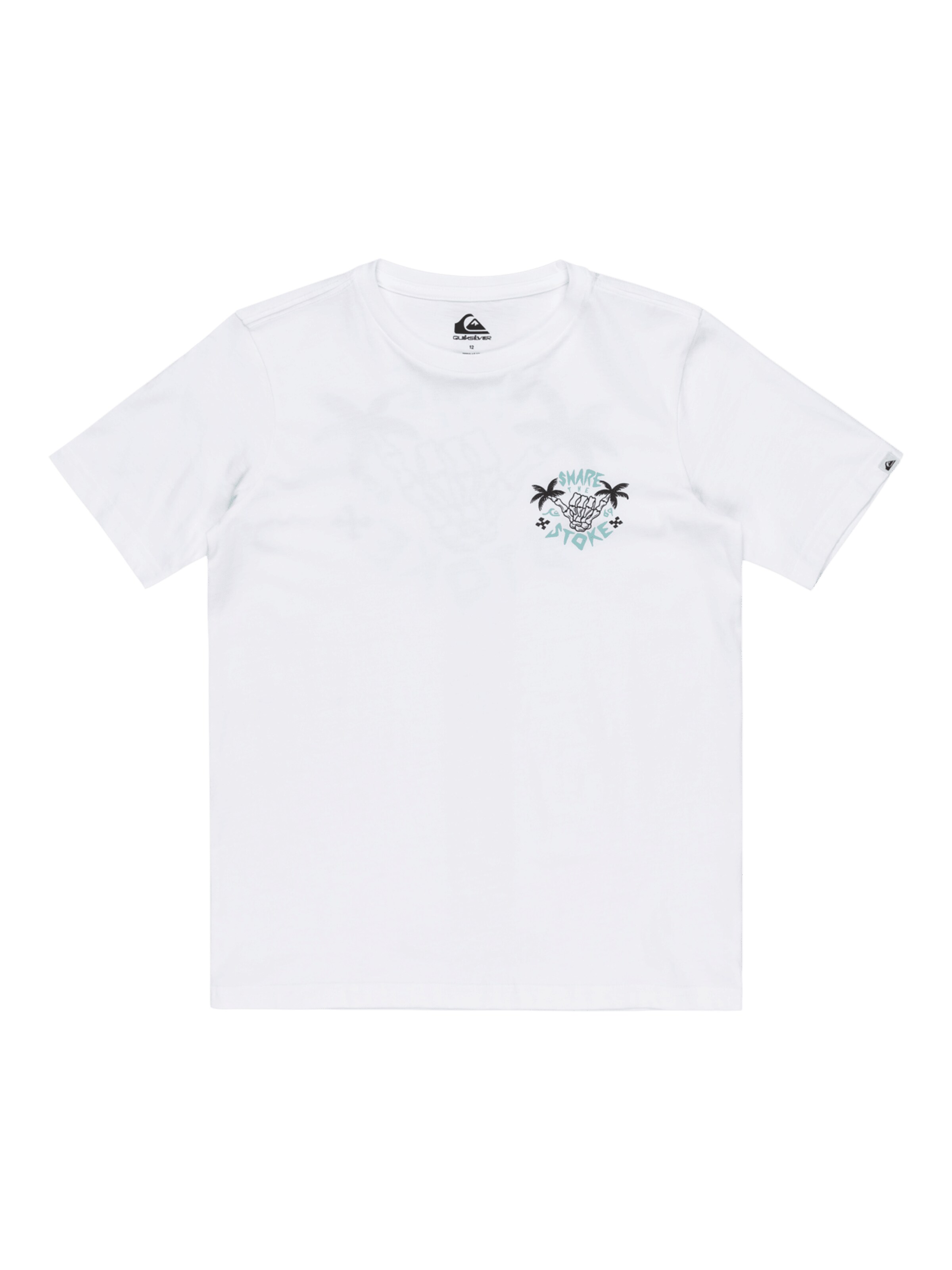 T-Shirt 'Ev Share The Stoke' QUIKSILVER en blanc : devant