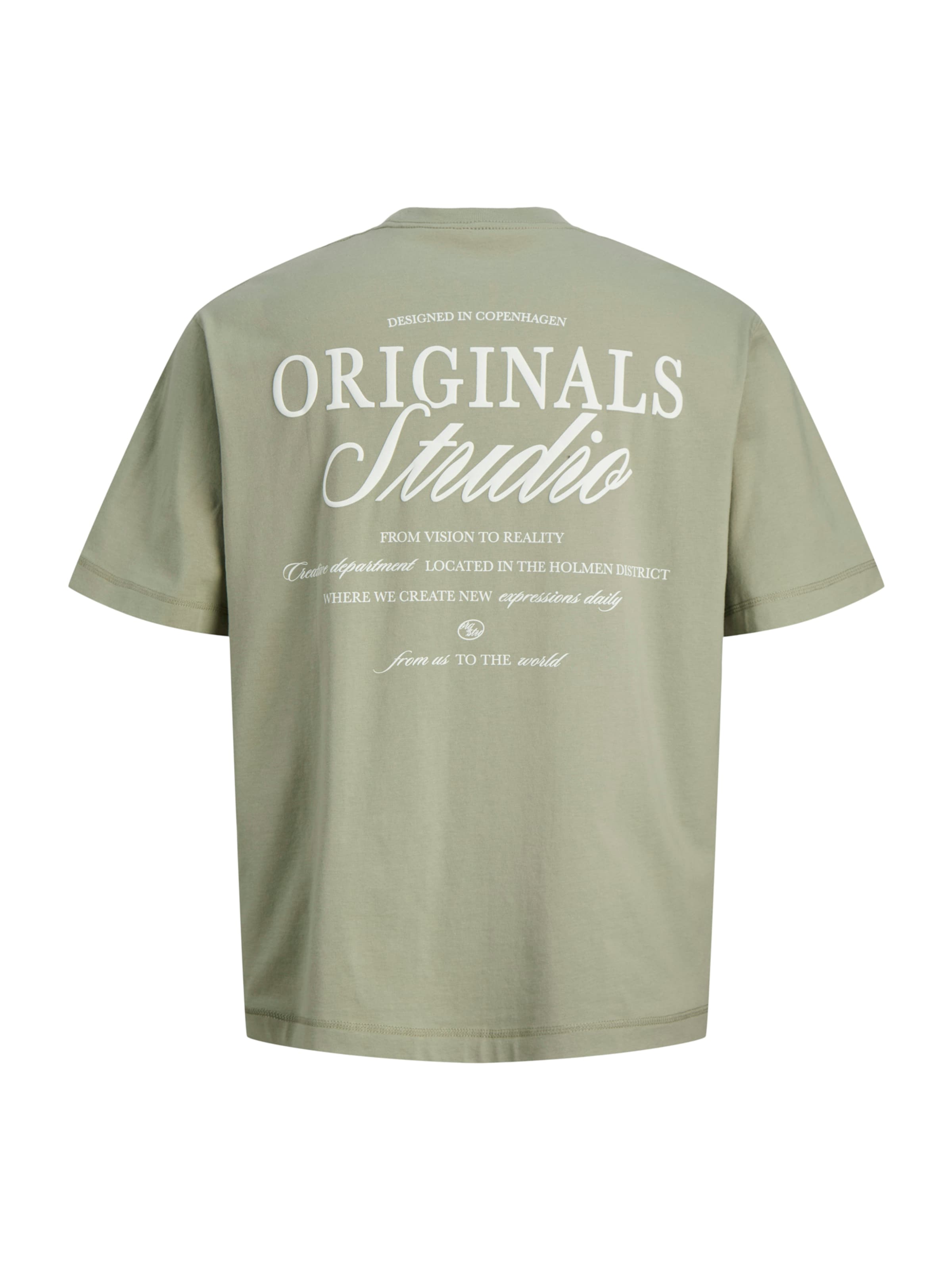 Jack & Jones Plus T-Shirt 'JORNORREBRO' in Grün