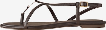 Tongs B by Ted Baker en marron : devant