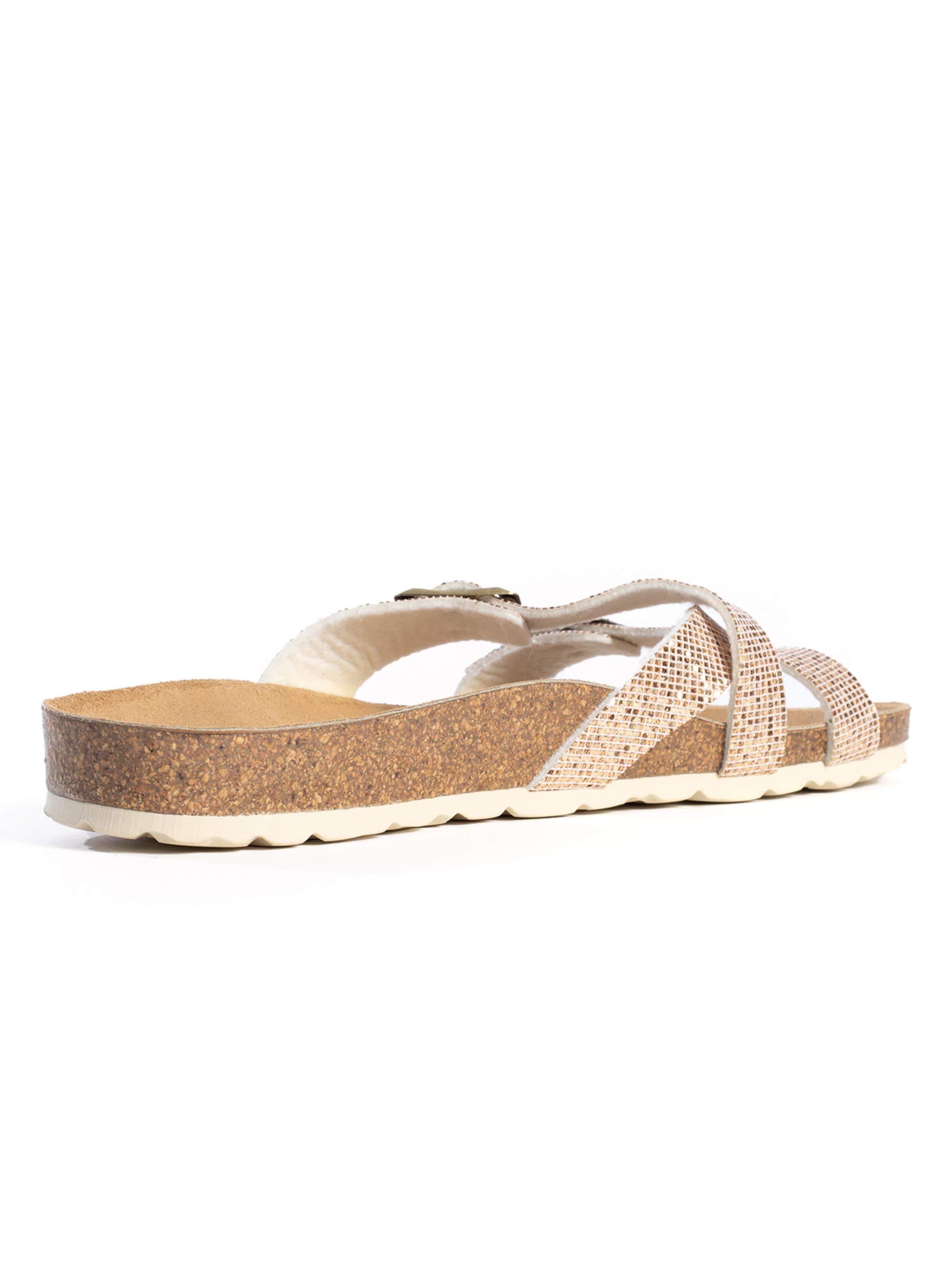 Mule 'Cleo' Bayton en rose