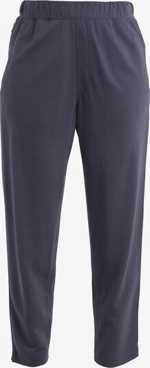 ICEBREAKER Pantalon 'Crush II' en graphite, Vue avec produit