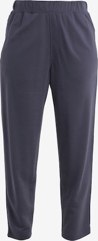 ICEBREAKER Tapered Broek 'Crush II' in Grijs: voorkant