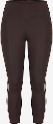 Studio Untold Skinny Leggings in Brown: front