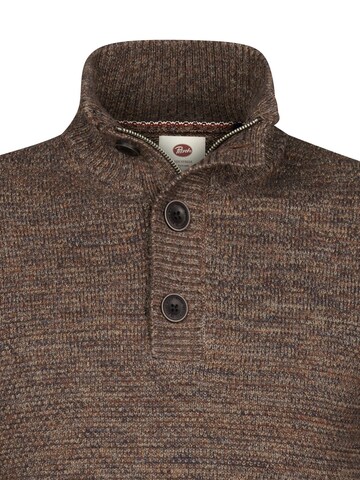 PETROL INDUSTRIES MEN Sweater in Brown