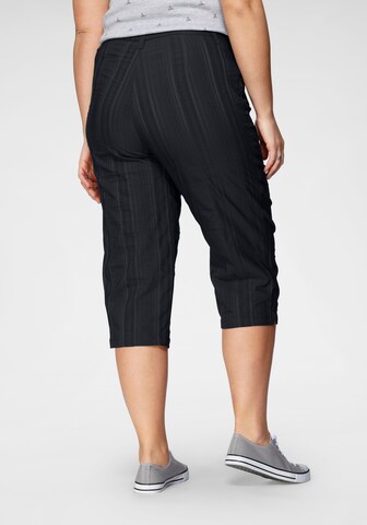 KjBRAND Regular Pants in Black