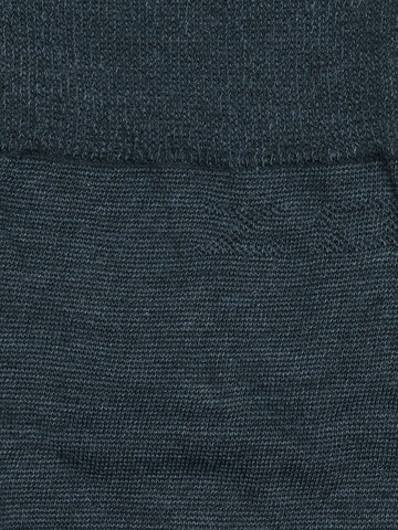 zd ZERO DEFECTS Knee High Socks 'Soy fiber knee socks' in Grey