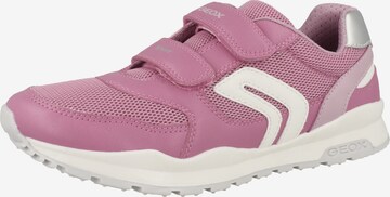 GEOX Sneaker 'Pavel' in Pink: predná strana