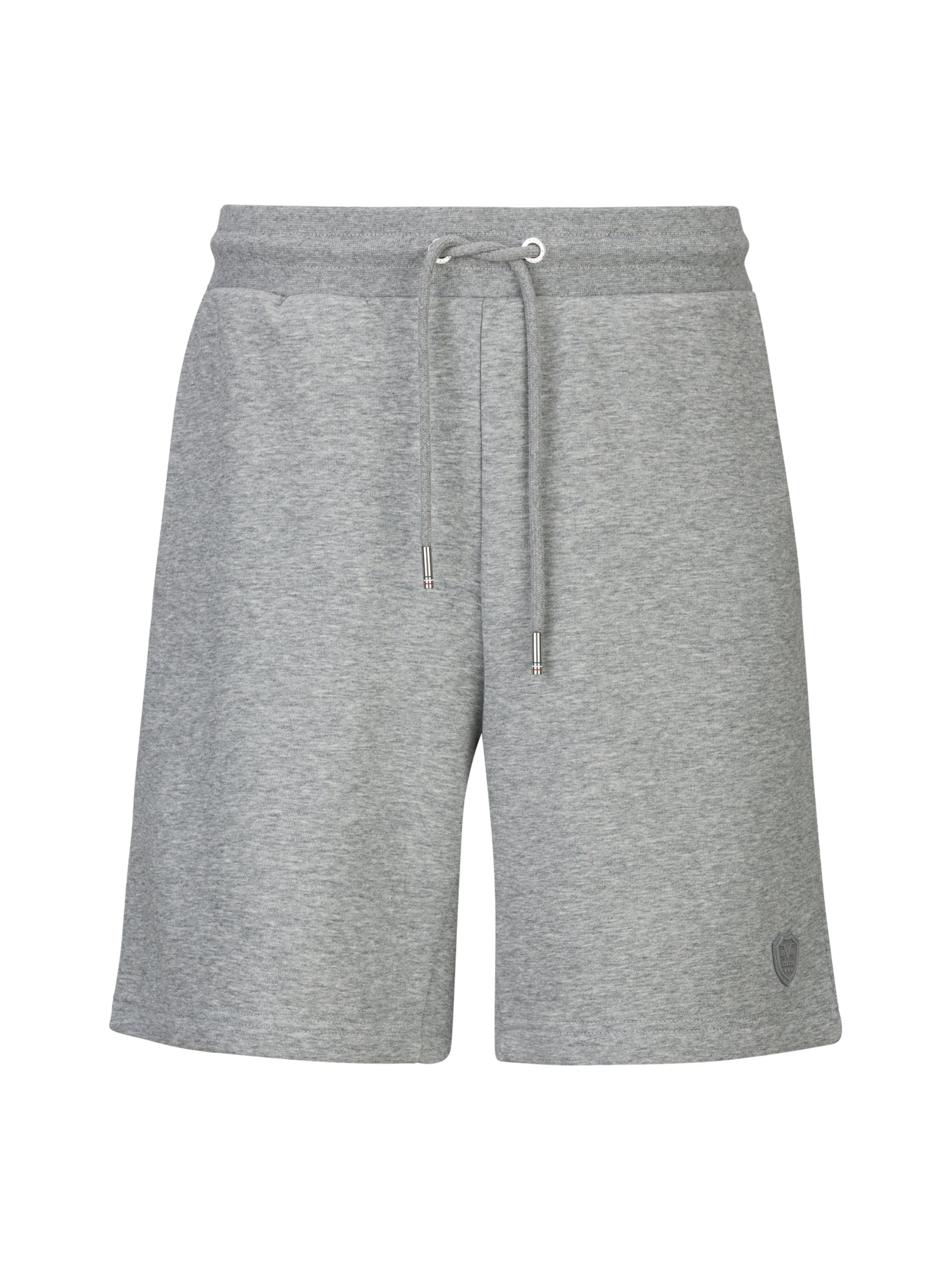 19V69 ITALIA Regular Trousers 'Sergio' in Grey: front
