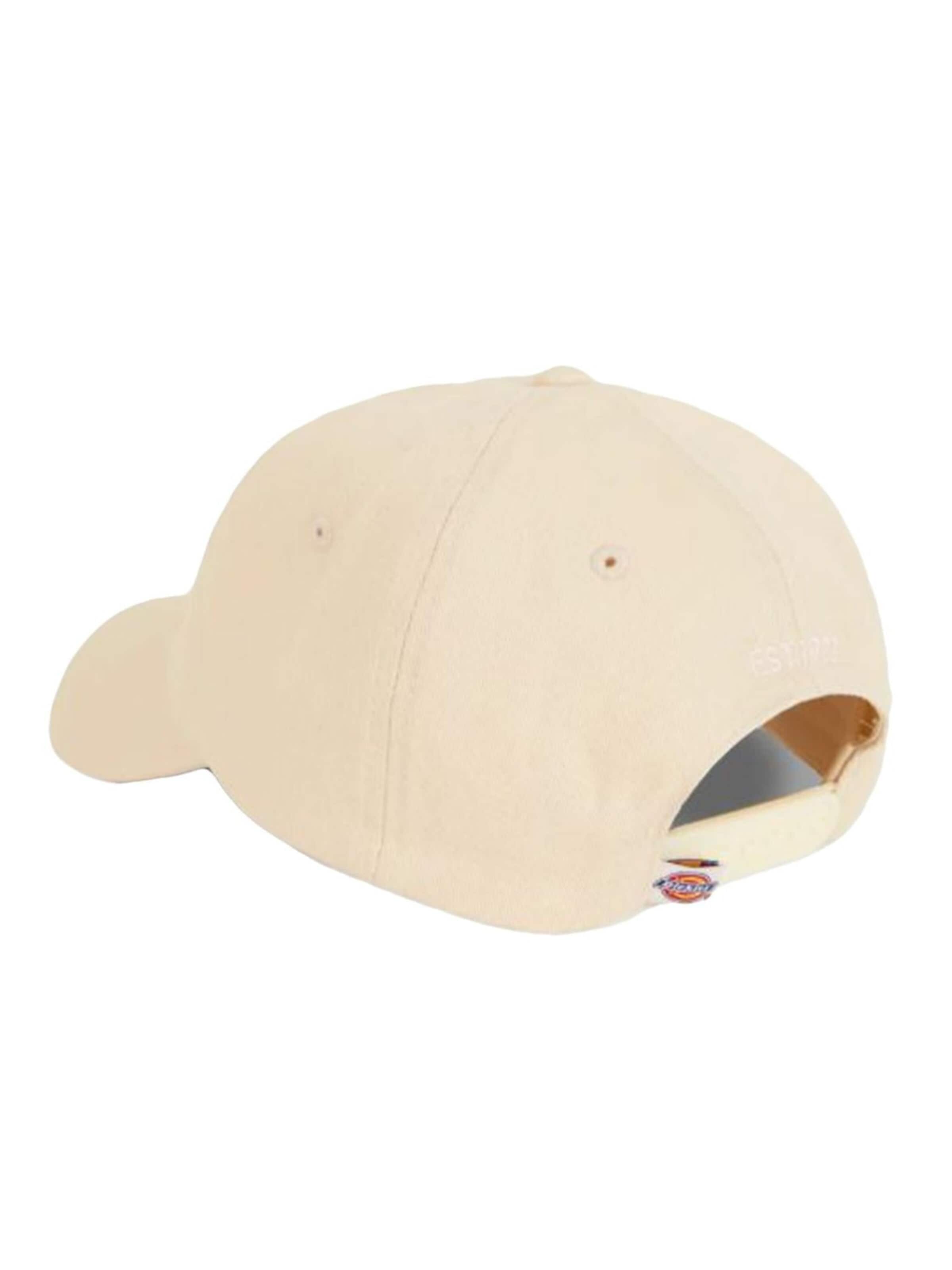 DICKIES Hat 'HARDWICK WhiteCap Grey' in White