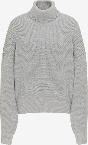 Pull-over usha BLUE LABEL en gris : devant