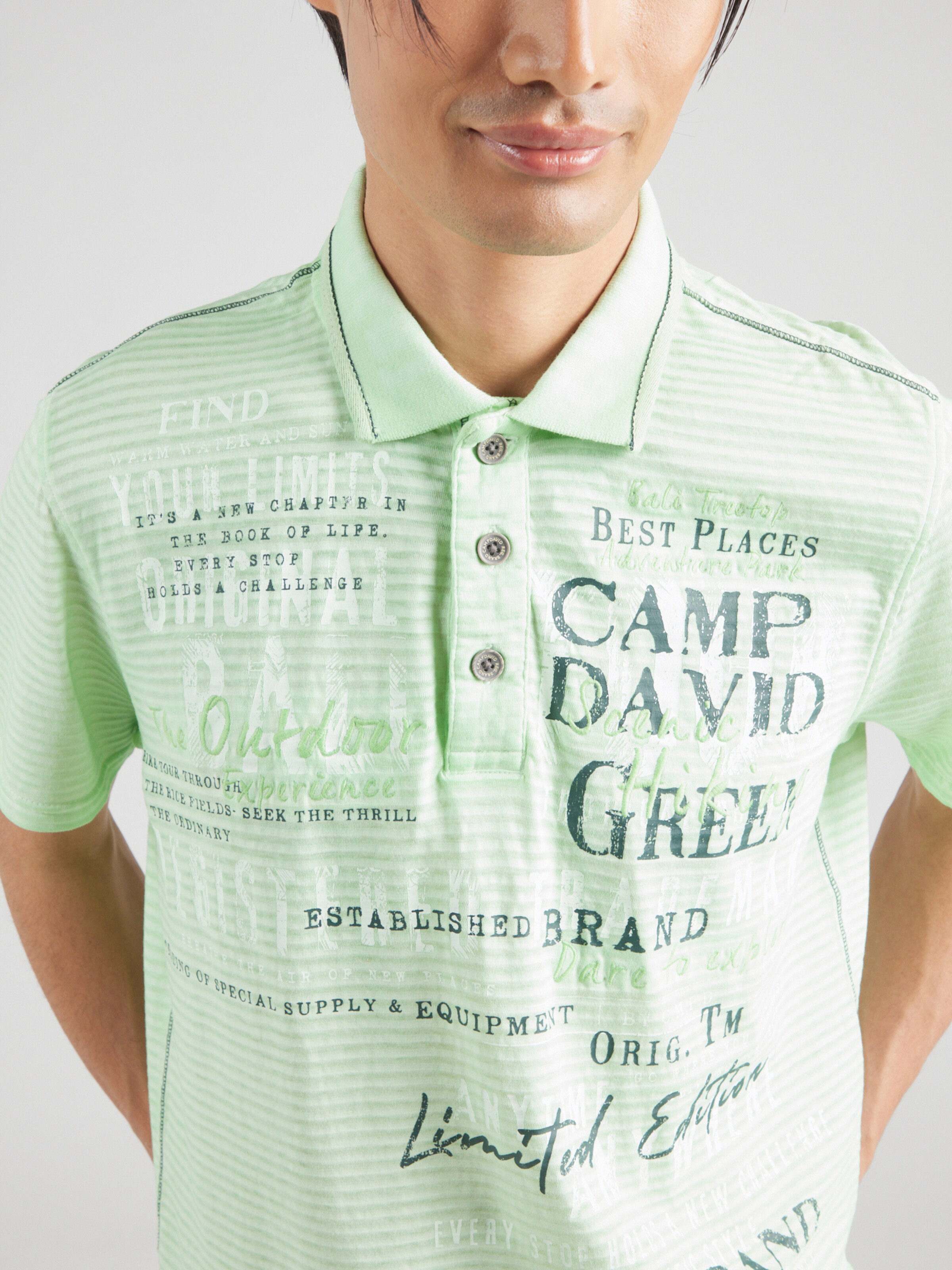 CAMP DAVID Poloshirt in Grn, Hellgrn | ABOUT YOU