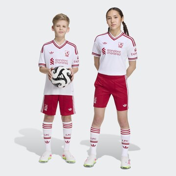 ADIDAS PERFORMANCEregular Sportske hlače 'Liverpool FC 26/27' - crvena boja