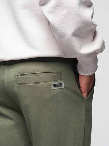 Ombre Tapered Hose in Grün