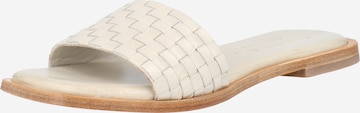 SHABBIES AMSTERDAM Mules in White: front
