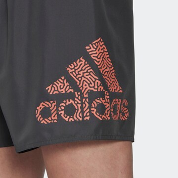 ADIDAS SPORTSWEAR Boardshorts in Grijs