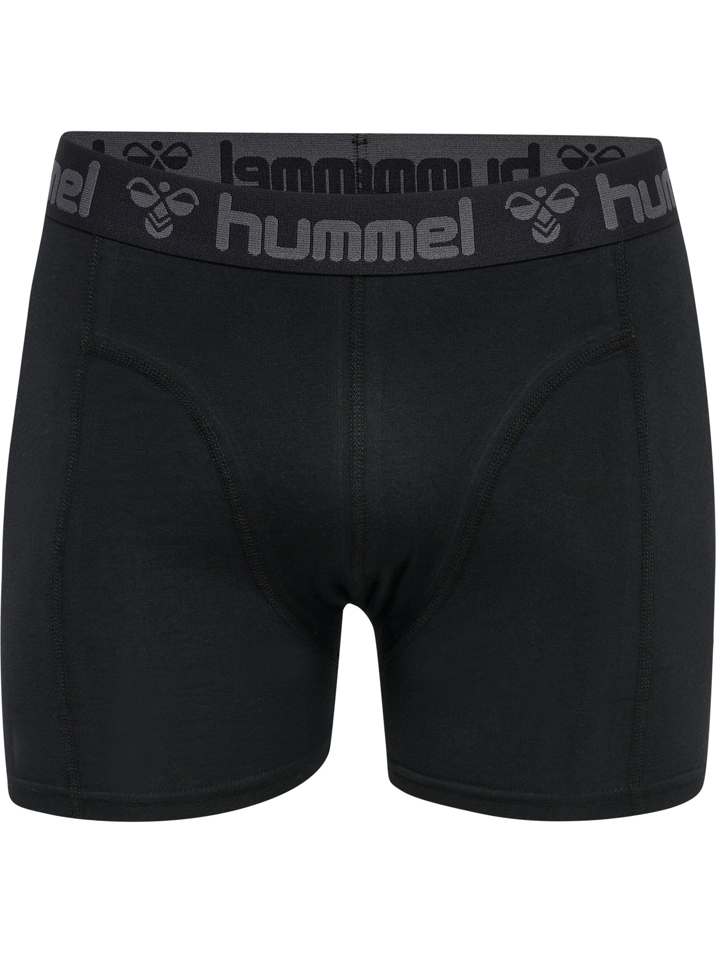 Hummel Boksershorts 'Marston' i blå