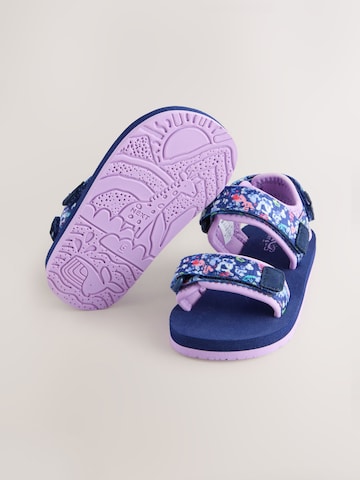 Next Sandalen in Blauw