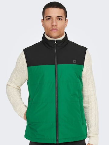 Only & Sons Bodywarmer in Groen