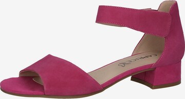 CAPRICE Sandals in Pink: front