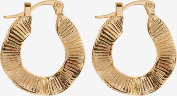 Boucles d'oreilles 'Zeina' timi of sweden en or : devant