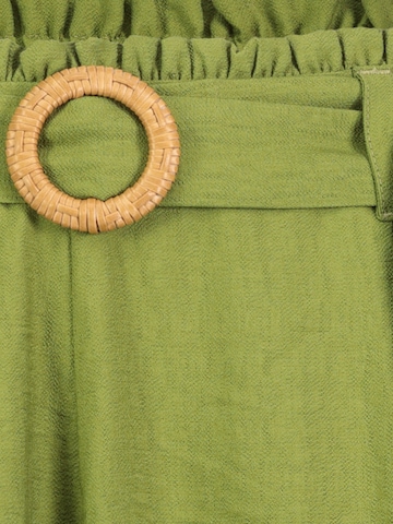 Sublevel Loose fit Pants in Green