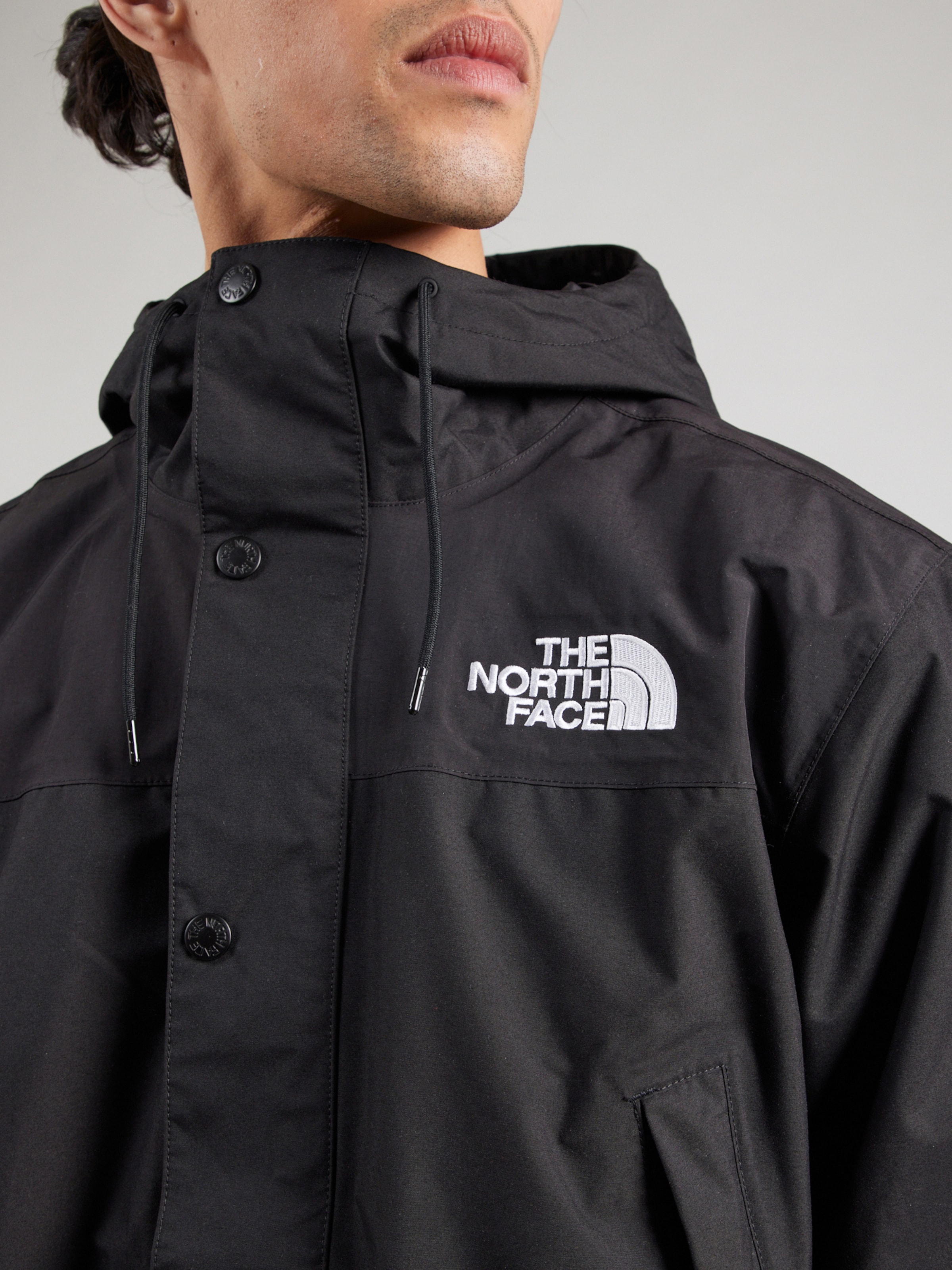 THE NORTH FACE Geacă funcțională 'Reign On' pe Negru | ABOUT YOU