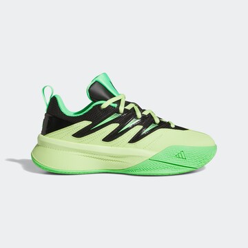 ADIDAS PERFORMANCE Sportschuh in Grün