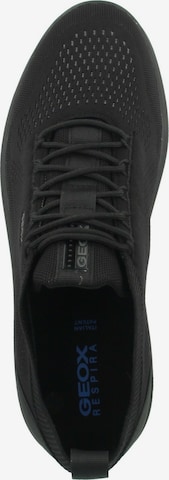 Baskets basses 'Spherica' GEOX en noir