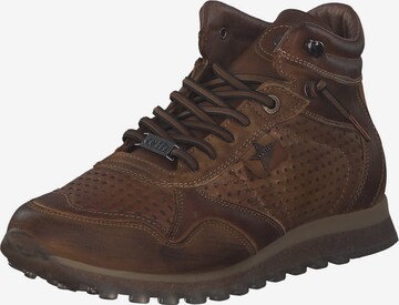 Cetti High-Top Sneakers 'C1048' in Brown: front