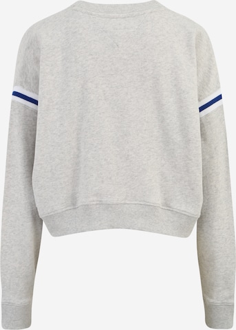 Tommy Jeans Sweatshirt & Zip-Up Hoodie in Grey