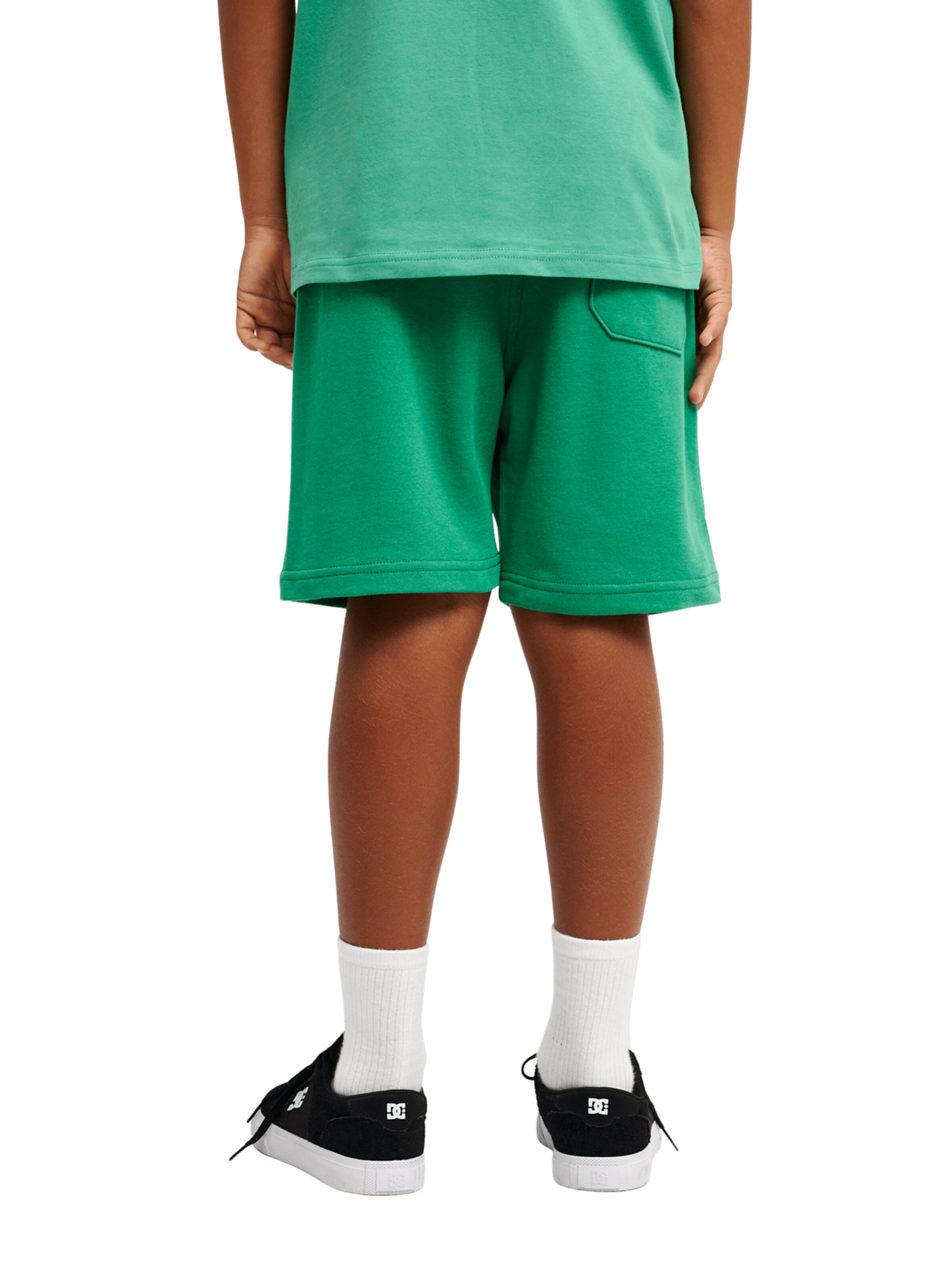 QUIKSILVER Regular Pants ' Easy Day ' in Green