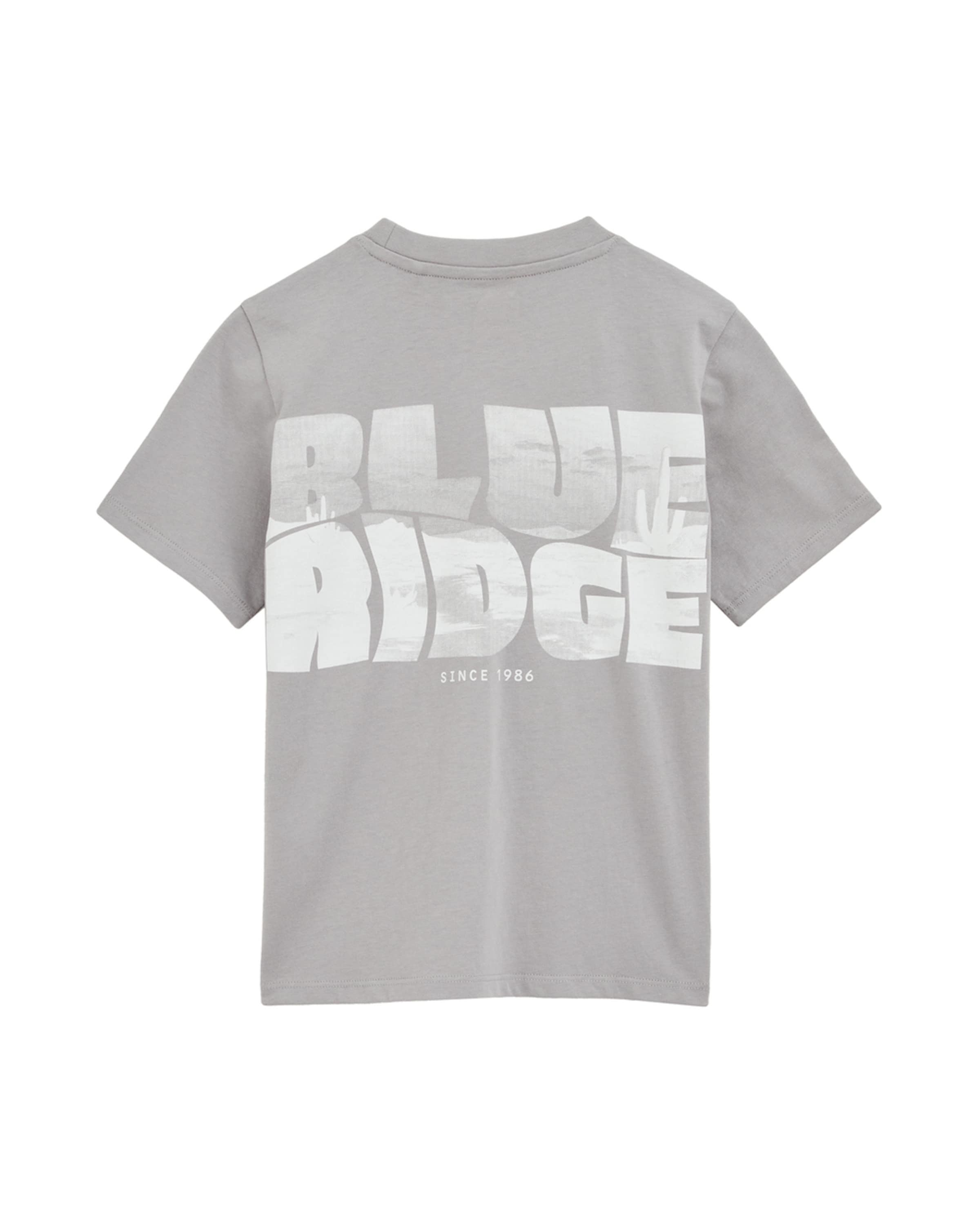 WE Fashion Футболка в Серый