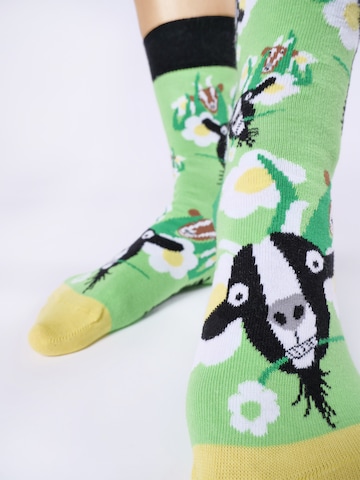 UNABUX Freizeitsocken ' Mix ' in Mischfarben