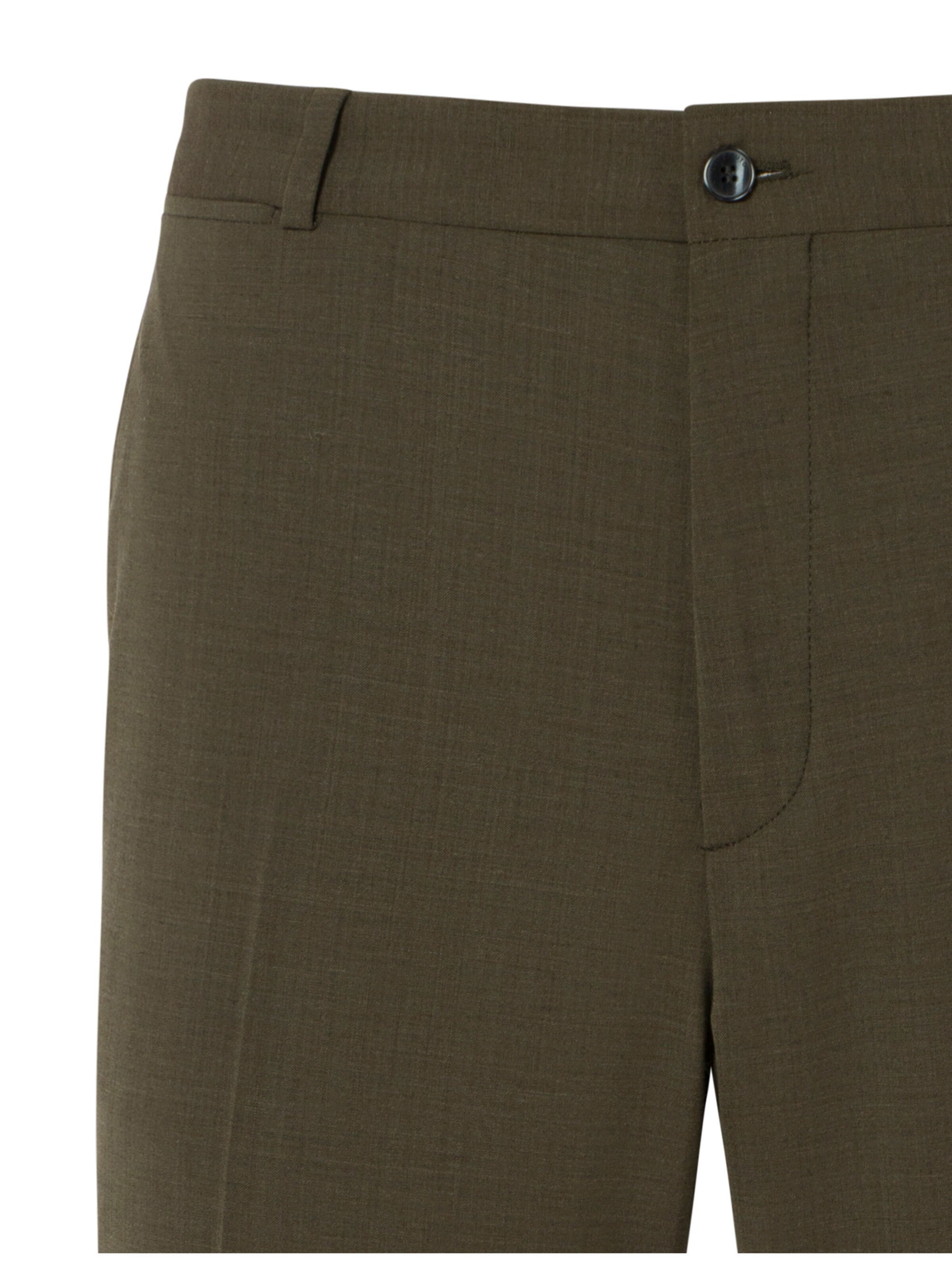 BENVENUTO Slim fit Pleated Pants '4032' in Green